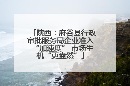 陕西：府谷县行政审批服务局企业准入“加速度” 市场生机“更盎然”